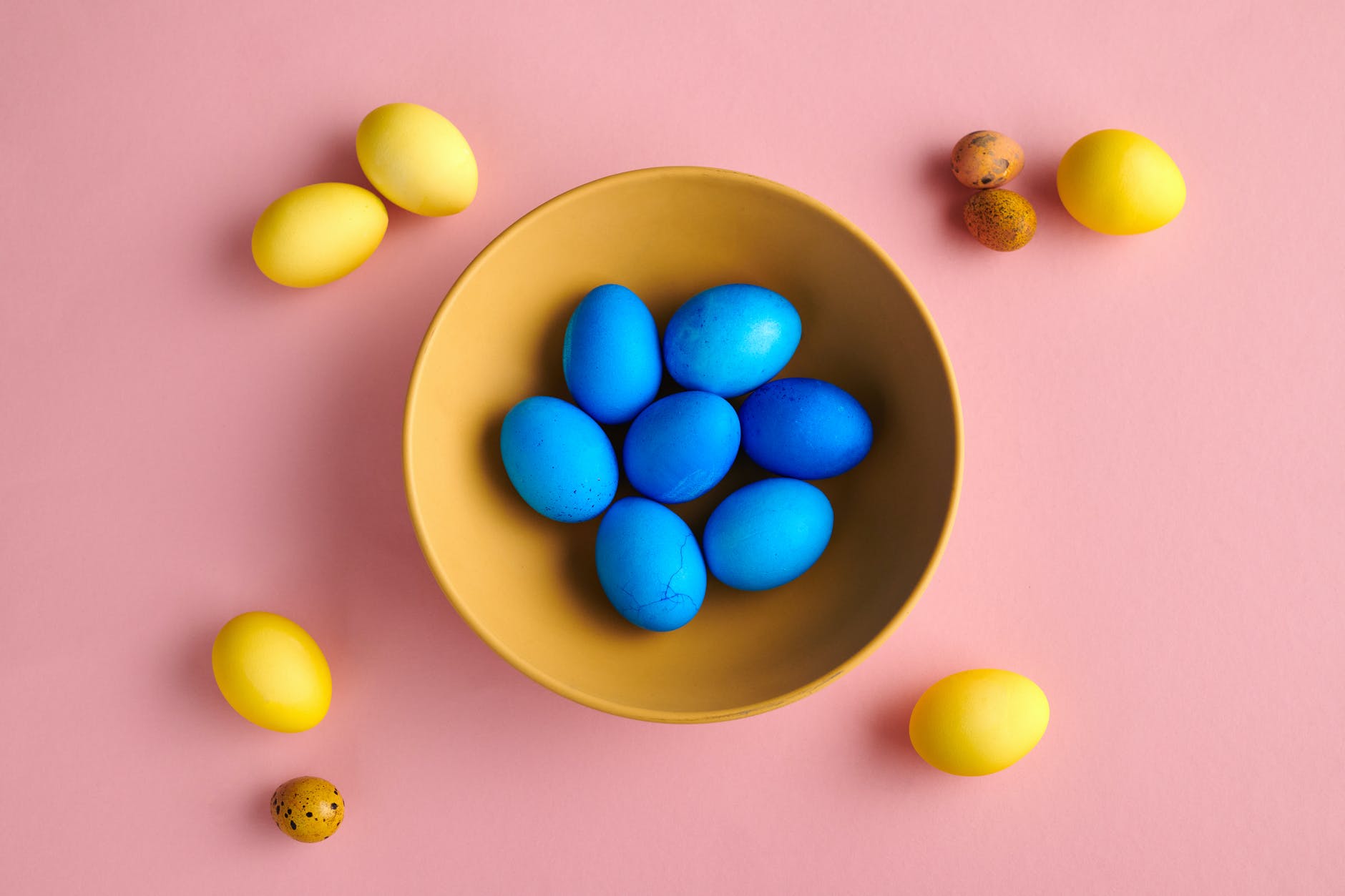 blue eggs on bowl with yellow eggs on pink background